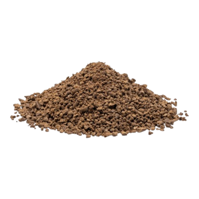 Moringa F1